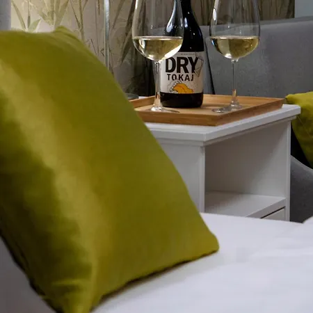 Baber Vendeghaz Lägenhet Tokaj